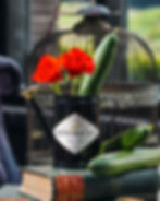 Hendrick's Watering Can by Boundless