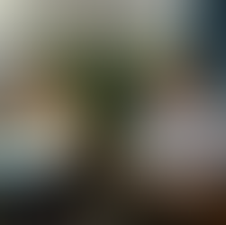 把復健帶回家,居家復健怎麼開始?專訪晁禾醫療林昶霆執行長