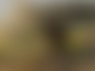 Embracing Balance: Why Balance Matters