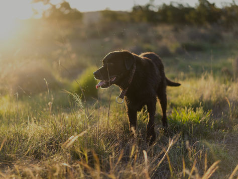 Embracing Balance: Why Balance Matters