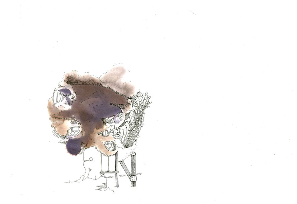 20241002_102648_0007
