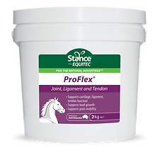 Stance Equitec ProFlex