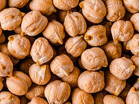 _PBA-KabuliChickpea-16955