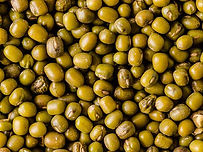 _PBA-MungBeanProcessing-16946
