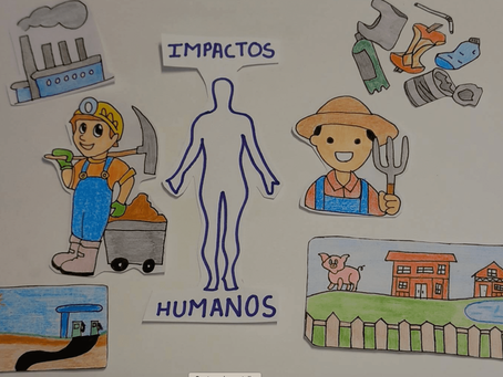 ¡Ya están aquí los STOP MOTION!