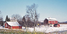 Store 1974