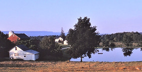 Store 1967
