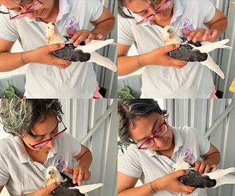 IMG-20230817-WA0001 (1)_edited.jpg