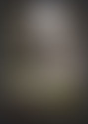 Abandoned Ni 2026 A3 Wall Calendar 🗓