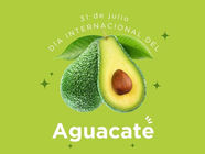 Día del Aguacate: Una celebración al oro verde🥑💚