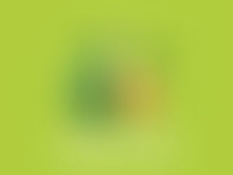 Día del Aguacate: Una celebración al oro verde🥑💚
