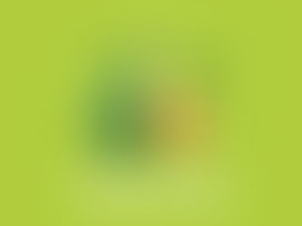 Día del Aguacate: Una celebración al oro verde🥑💚