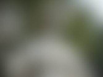 The Muses in Greek Mythology