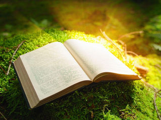 An open book sitting on a grassy forest floor