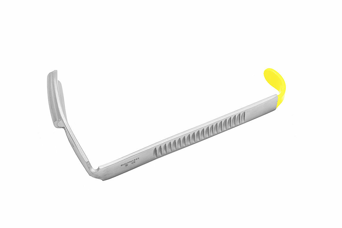 Palatal Plate for toothless patients
