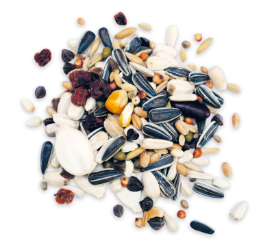 Miniaturbild: Rudloff Papageien ohne Nüsse