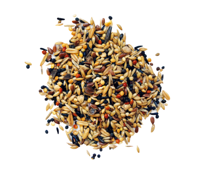 Miniaturbild: Rudloff Waldvogel