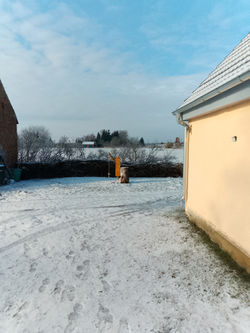 IMG_20260131_110024