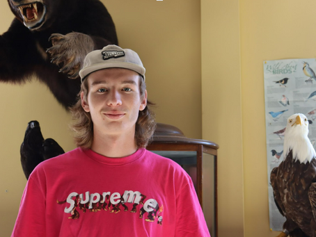 Environmentalist groups fight against invasive species spread post-hurricane Fiona