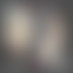 Mischief Memo February 18 2026