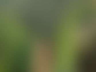 The Spiritual Side of Travel No One Talks About