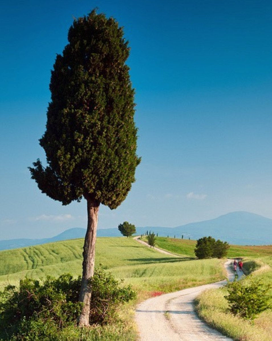 🌿 Mindfulness, Reviews, and the Fragile Art of Being Human