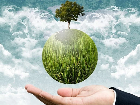 Hizmetlerde Sürdürülebilirlik: Kalite Kontrol Olmadan Mümkün mü?