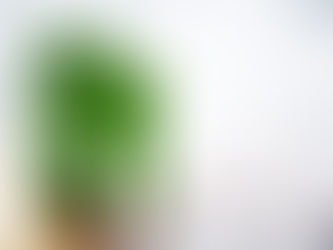 O que é uma construção sustentável e como fazer?