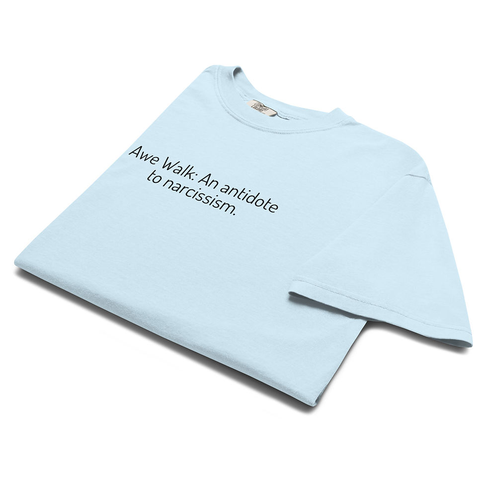 Thumbnail: Awe Walk Quote Unisex Garment-dyed Heavyweight 100% Cotton Soft T-shirt 