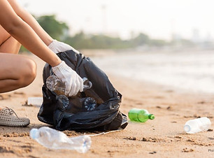 Trash-pickup.jpg