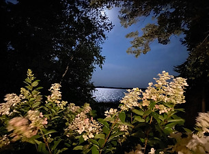 Moonlight-Rauen-IMG_1299.jpeg