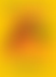 Fat Tire Festival Biberach