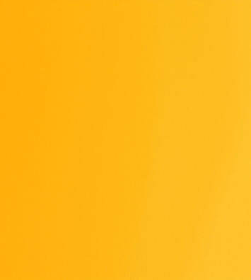 bright crayola orange colored background.jpg