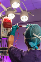 A nurse inspects blood in a syringe
