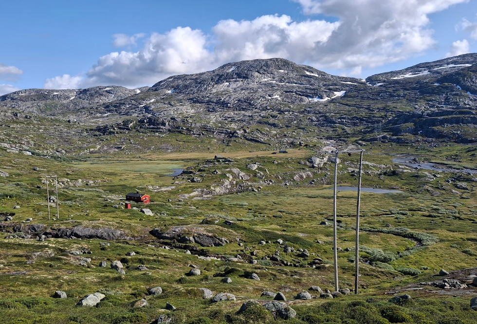 Norway's wilderness