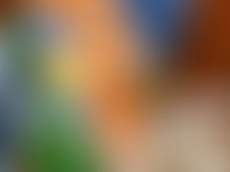 O momento em que nos perdemos; Maria José Núncio