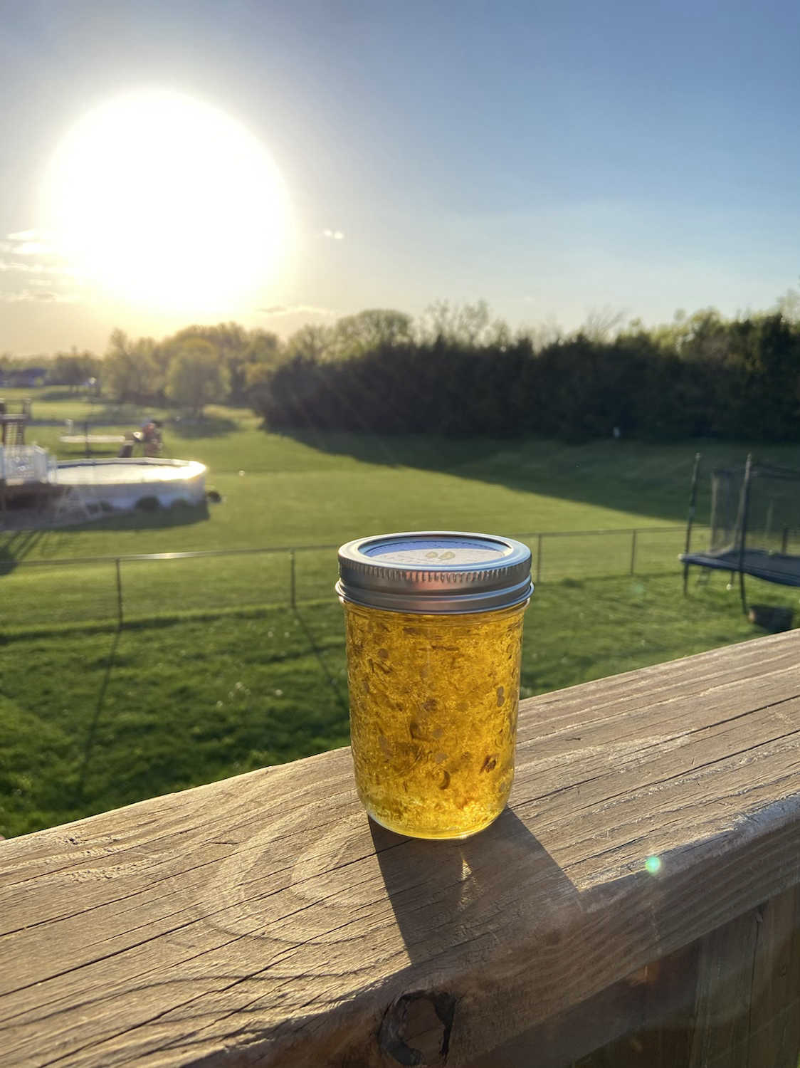 Jalapeño Pepper Jelly