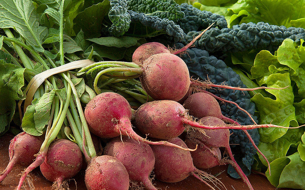 Fresh radishes, kale and lettuce. This produce photograph illustrates the subject, not current retail prices. Photo: Peggy Greb, USDA Agricultural Research Service. Public domain; image unmodified.