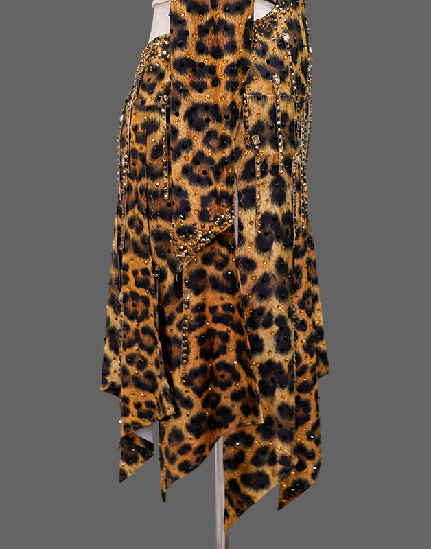 Thumbnail: Cheetah-licious