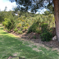 WhatsApp Image 2020-07-02 at 17.35.18.jpeg