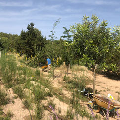 WhatsApp Image 2021-06-14 at 09.25.13.jpeg