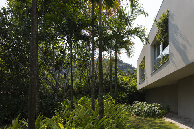 JARDIM DA MATA ATLÂNTICA - Isabel Duprat Arquitetura Paisagística