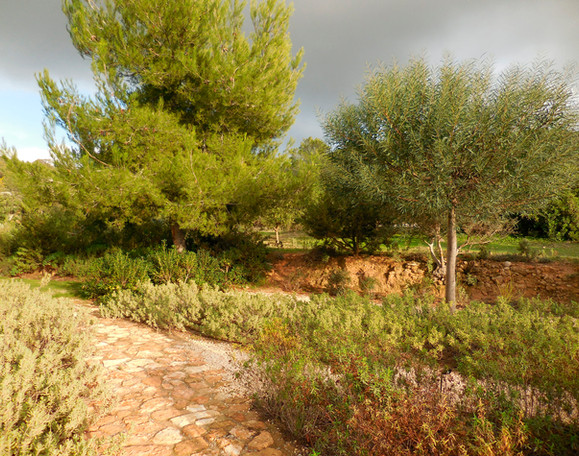 DSCN0232.jpg