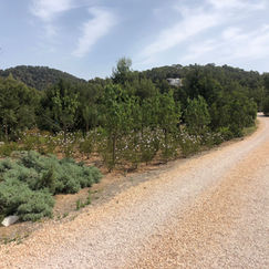 WhatsApp Image 2021-06-14 at 09.25.40.jpeg