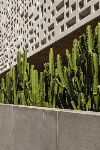 JARDIM DA CASA 3M PAISAGISMO ISABEL DUPRAT