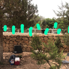 WhatsApp Image 2021-07-12 at 07.55.09.jpeg