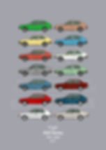 Volvo 300 series collection