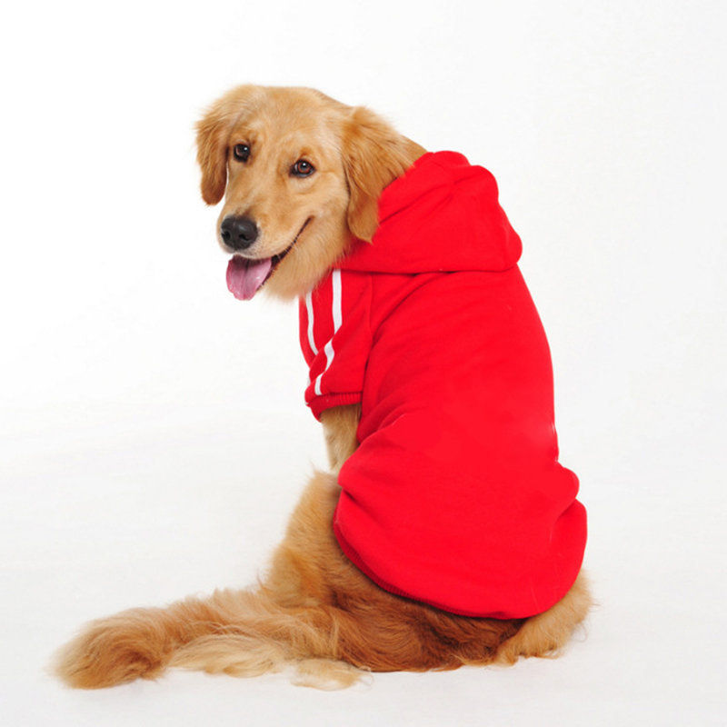 Thumbnail: Dog Pet clothes