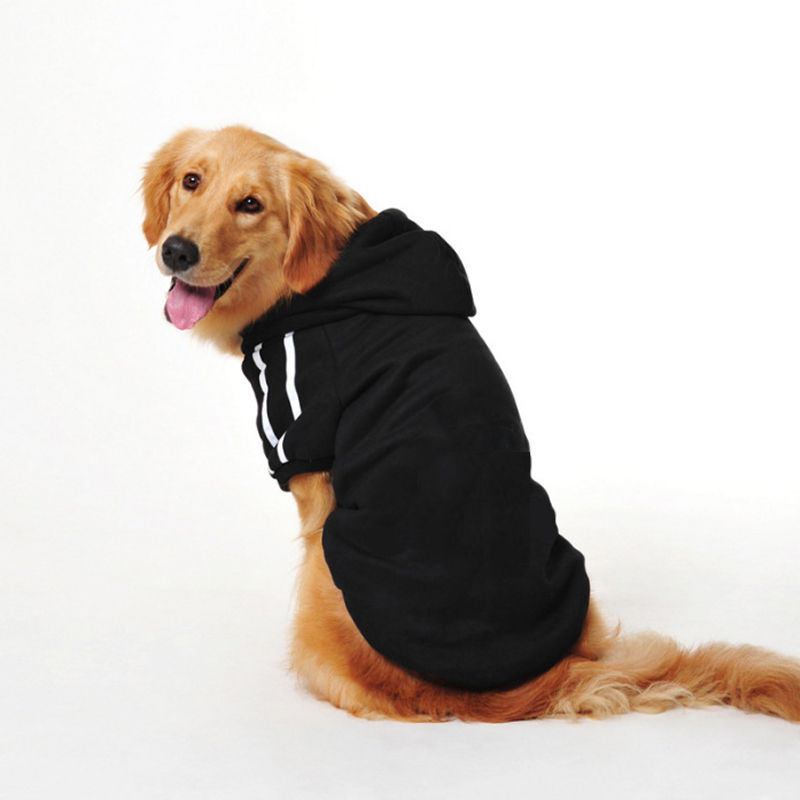 Thumbnail: Dog Pet clothes