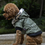 Thumbnail: dog autumn and winter fur collar coat